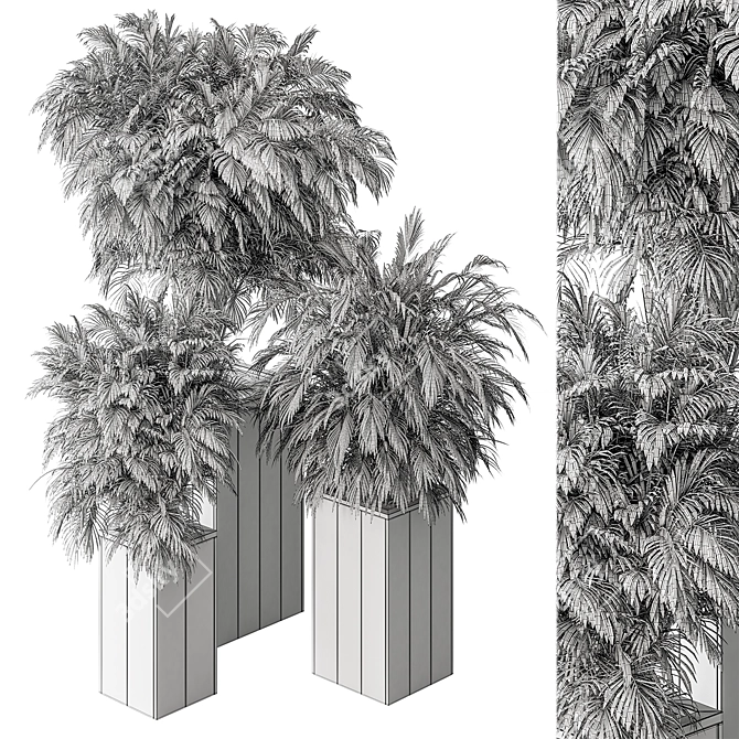 Tropical Palm Tree for Outdoors 3D model image 3