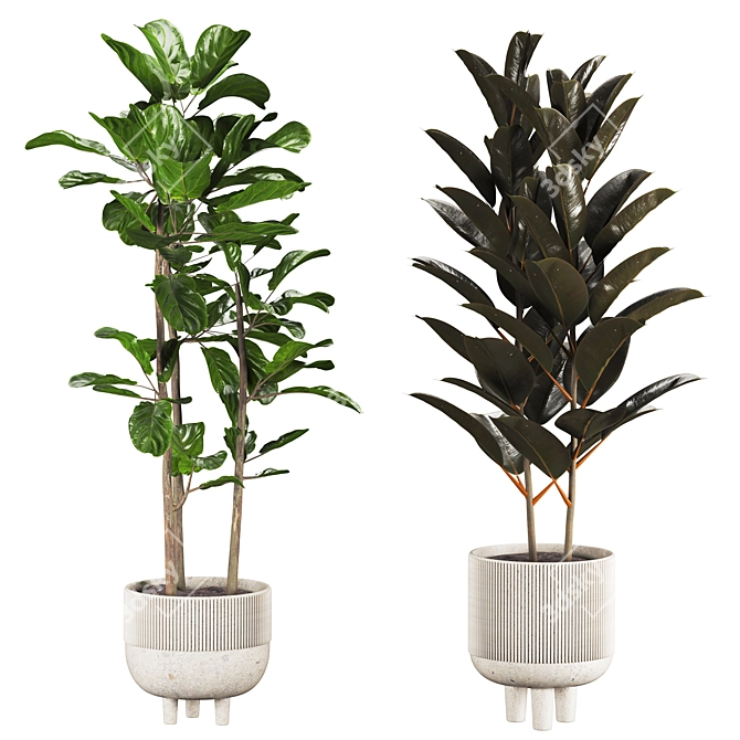 Vibrant 3D Plants Set 20 3D model image 5