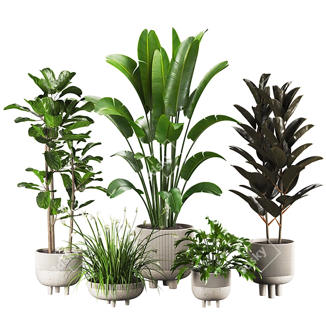 Vibrant 3D Plants Set 20 3D model image 6