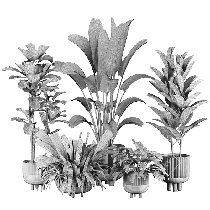 Vibrant 3D Plants Set 20 3D model image 7