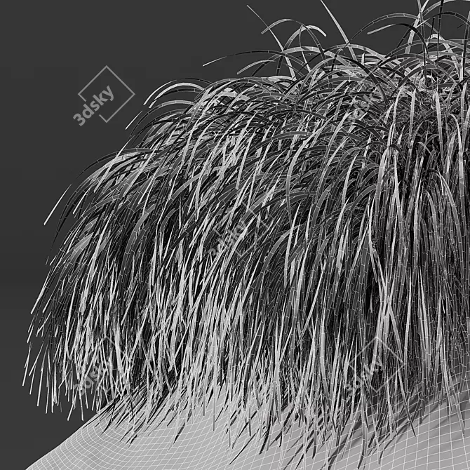 Golden Sedge 3D Plant Model 3D model image 5