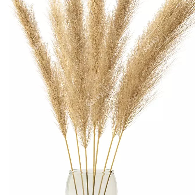 Pampas Bouquet Dried Plant 2013 3D model image 2