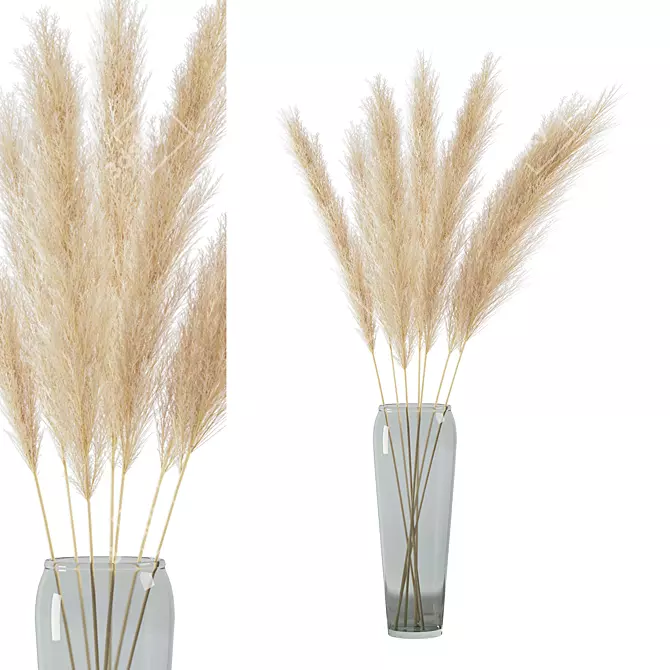 Pampas Bouquet Dried Plant 2013 3D model image 3