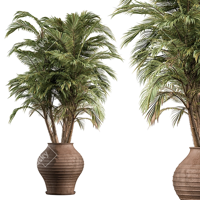 Tropical Palm Tree Outdoor Plant 3D model image 1