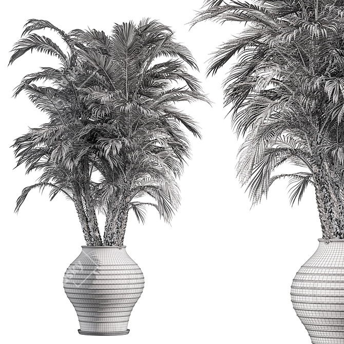 Tropical Palm Tree Outdoor Plant 3D model image 3