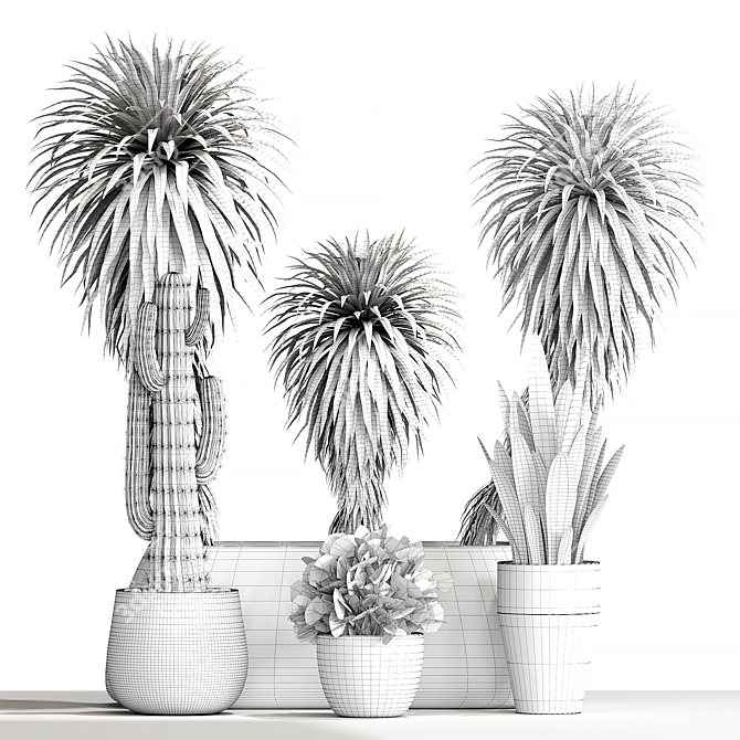 Interior Plant Collection Trio 3D model image 2