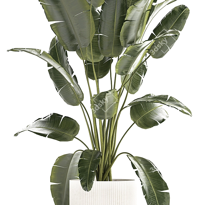 Tropical Plant Trio in Concrete Planter 3D model image 4