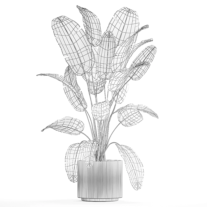 Tropical Plant Trio in Concrete Planter 3D model image 7