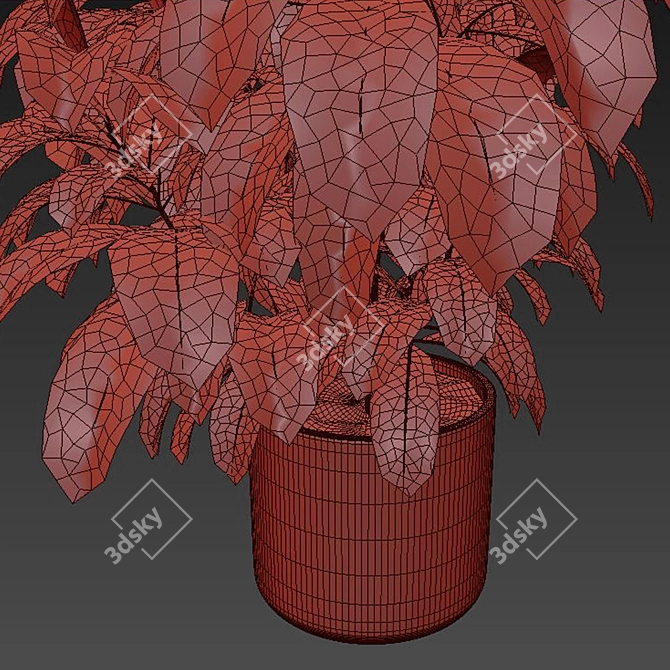 Versatile Indoor Plant 3D Model 3D model image 3