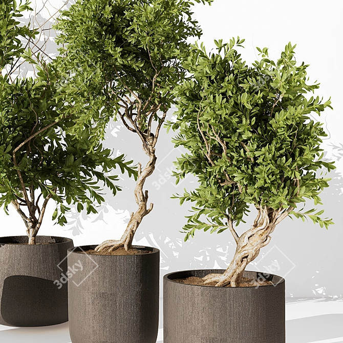 Modern Indoor Plant 3D Model 3D model image 2