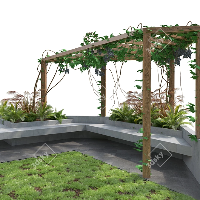 Pergola Backyard with Crape Vine 3D model image 4