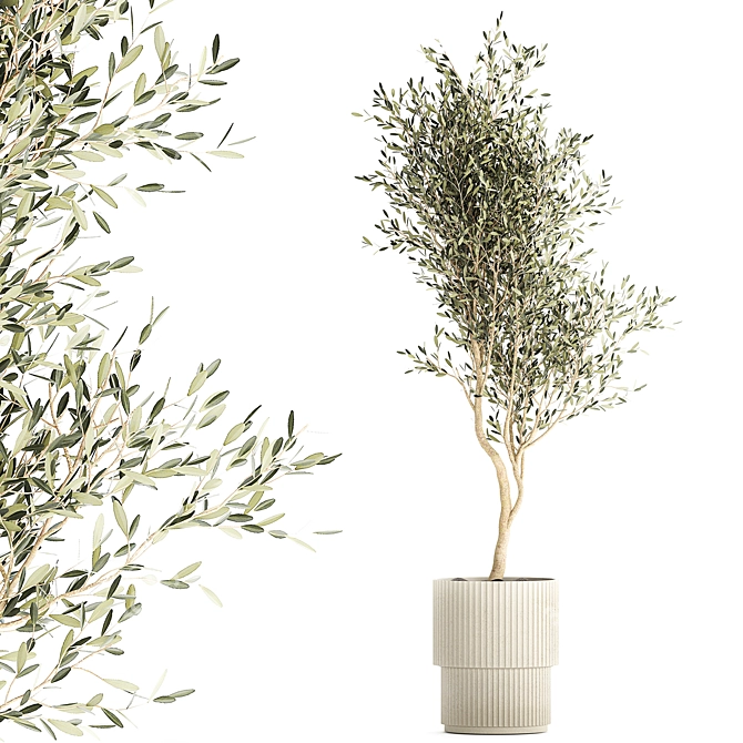 Stylish Decorative Olive Tree 3D model image 1