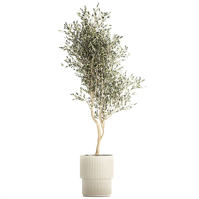 Stylish Decorative Olive Tree 3D model image 6