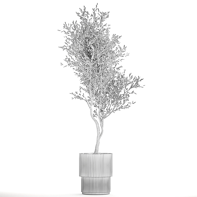 Stylish Decorative Olive Tree 3D model image 7