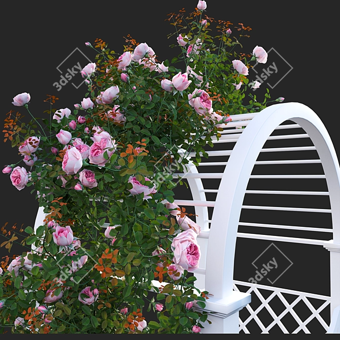 Versatile 3D Climbing Rose Models 3D model image 2