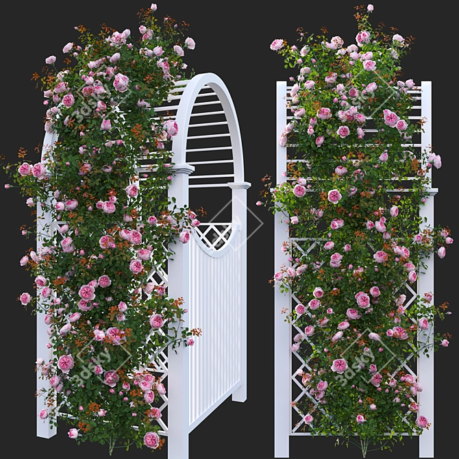 Versatile 3D Climbing Rose Models 3D model image 3