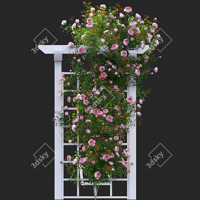 3D Climbing Rose Plant Models 3D model image 3