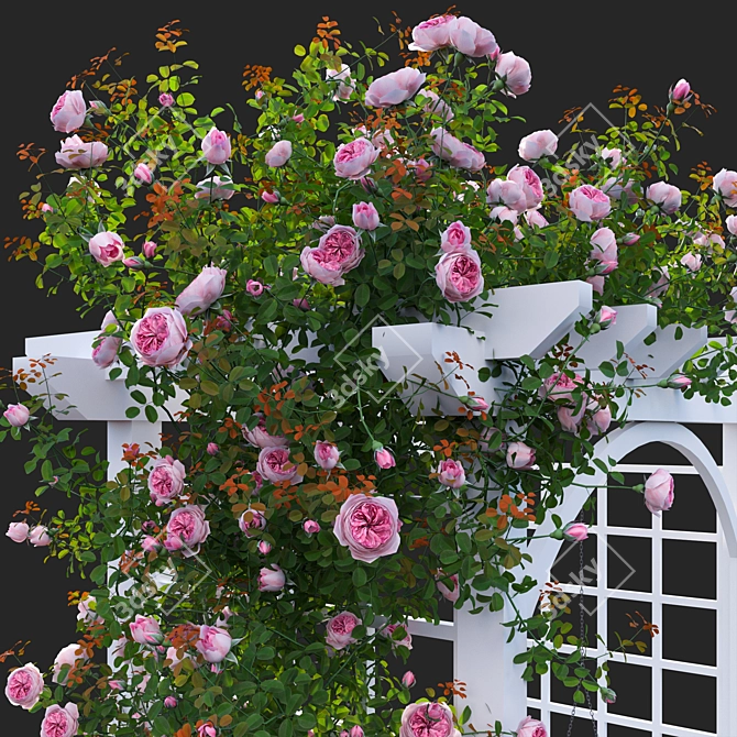 3D Climbing Rose Plant Models 3D model image 5