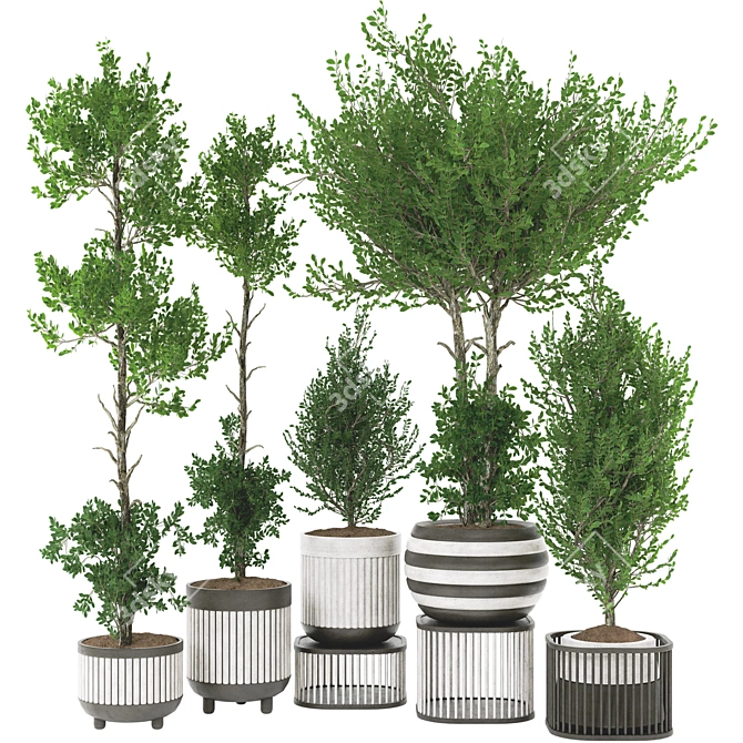 Artificial Bonsai Olive Tree Pot 3D model image 1