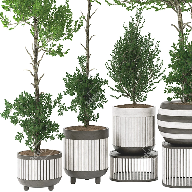 Artificial Bonsai Olive Tree Pot 3D model image 5