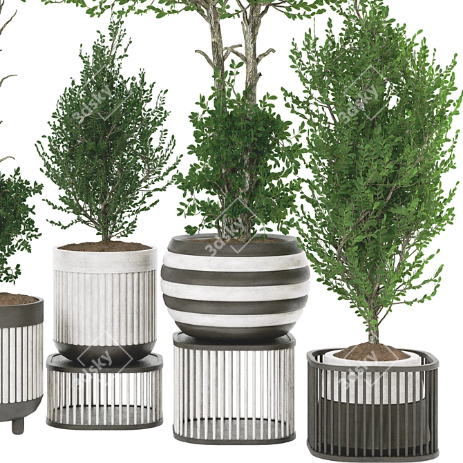 Artificial Bonsai Olive Tree Pot 3D model image 6