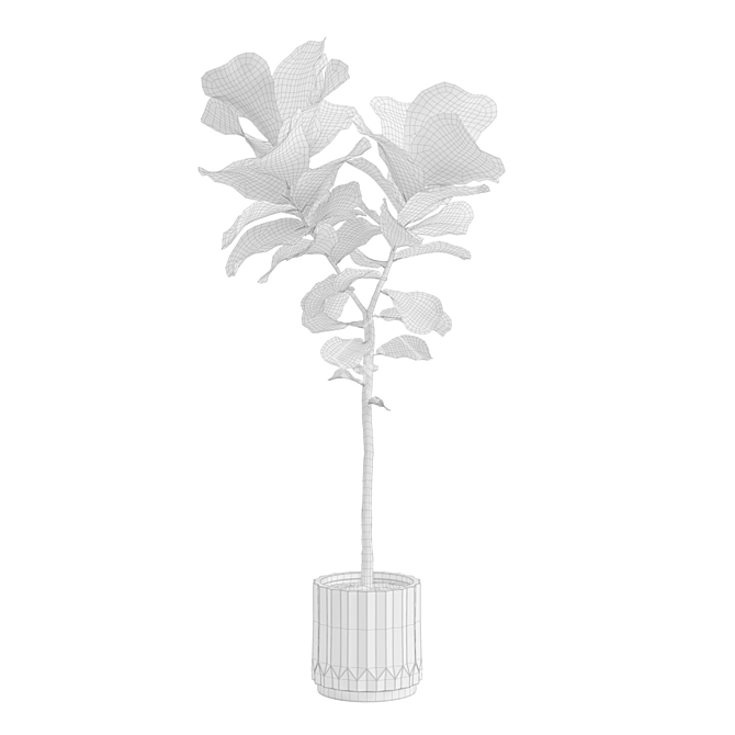 Ficus Lyrata: Large Leaf Plant 3D model image 3