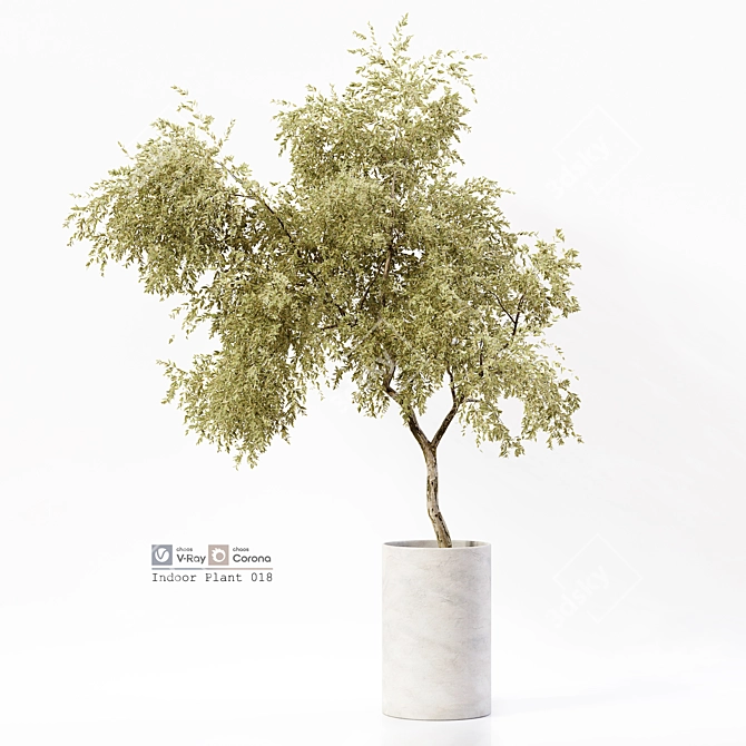 Premium Indoor Plant Model Kit 3D model image 1