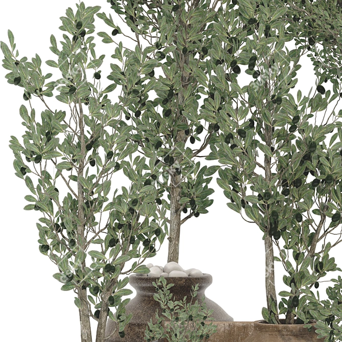 Decorative Olive Tree 3D Model 3D model image 6