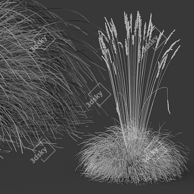 Silver Blue Ornamental Grass Set 3D model image 6