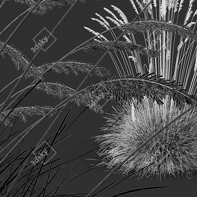 Silver Blue Ornamental Grass 3D Model 3D model image 4