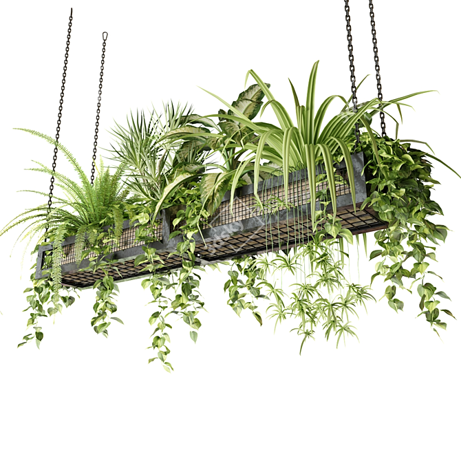 Hanging Plant Mesh - Indoor & Hanging Plants 3D model image 2