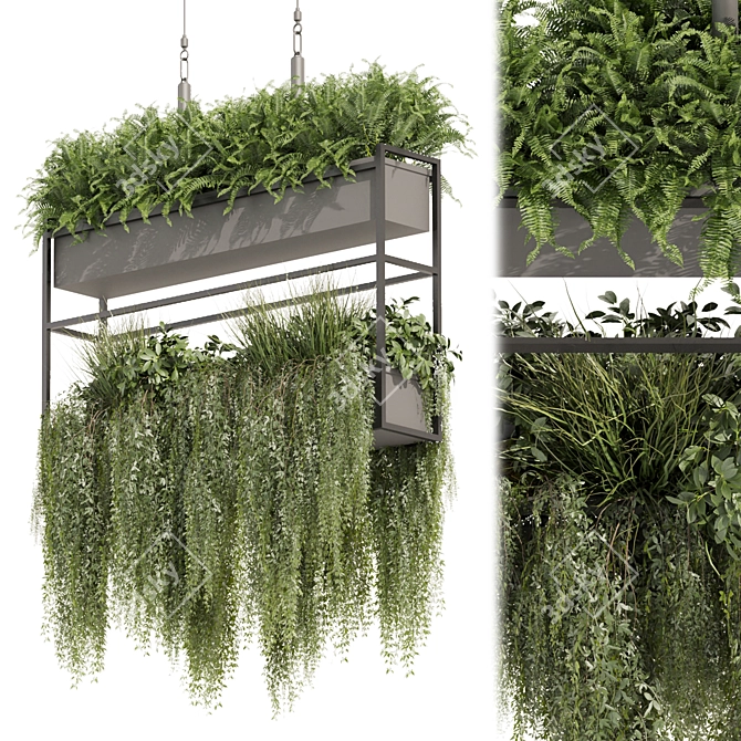 High-Quality Hanging Ampelous Plant 3D model image 1