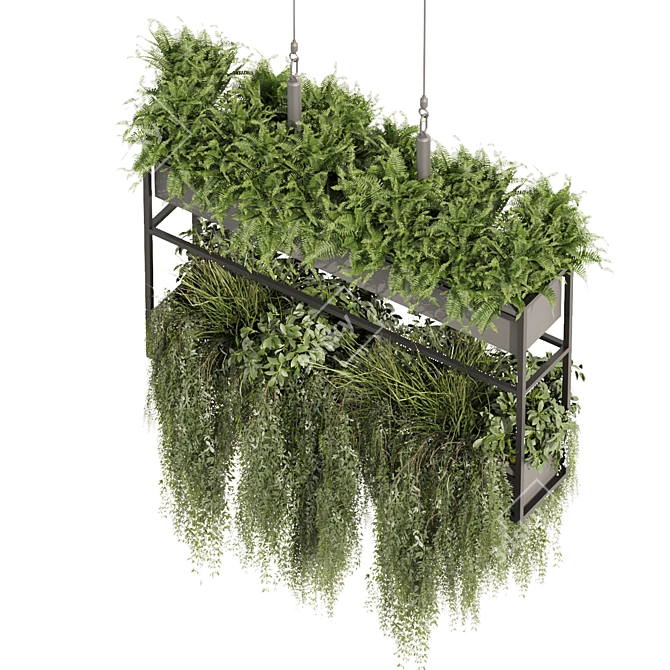 High-Quality Hanging Ampelous Plant 3D model image 4