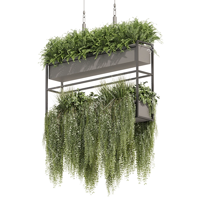 High-Quality Hanging Ampelous Plant 3D model image 5