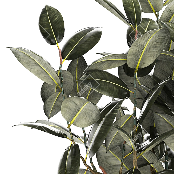 Modern Concrete Vase Ficus Collection 3D model image 3