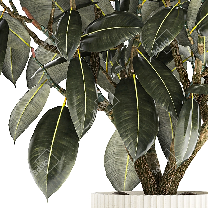 Modern Concrete Vase Ficus Collection 3D model image 5