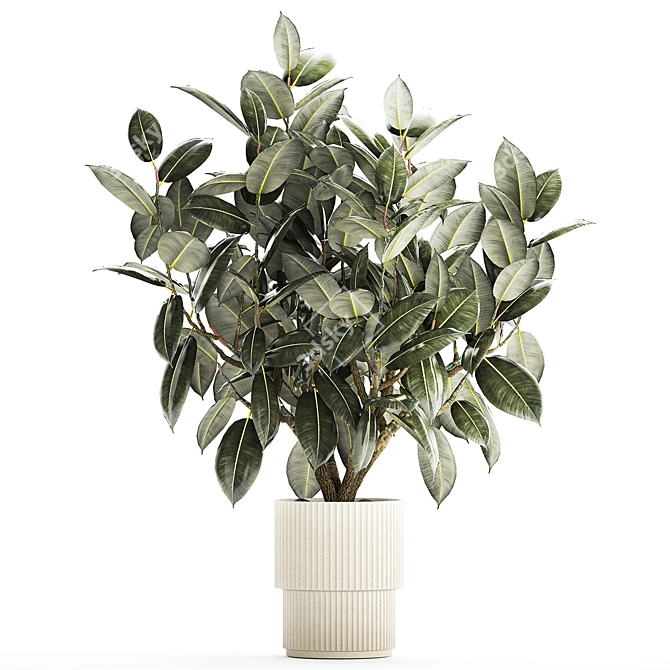 Modern Concrete Vase Ficus Collection 3D model image 6