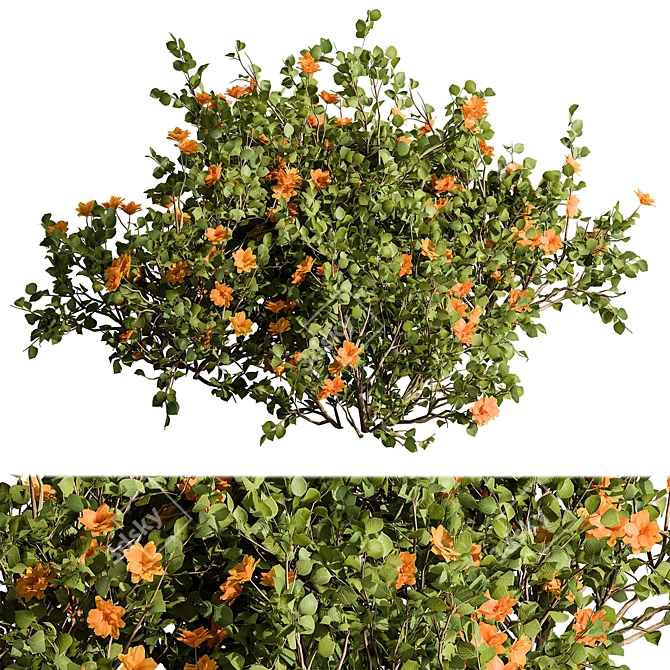 Sunshine Yellow Creeper Bush Set 3D model image 1