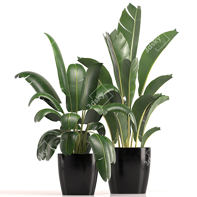 Modern Indoor Plant Set 039 3D model image 1