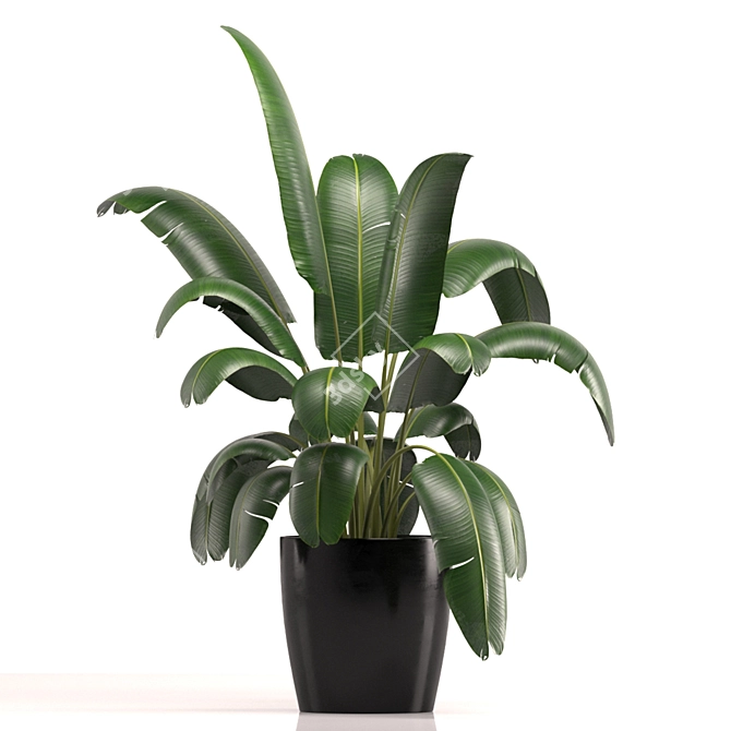 Modern Indoor Plant Set 039 3D model image 2