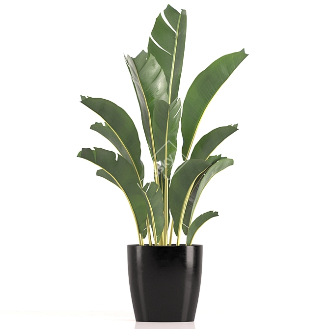 Modern Indoor Plant Set 039 3D model image 3