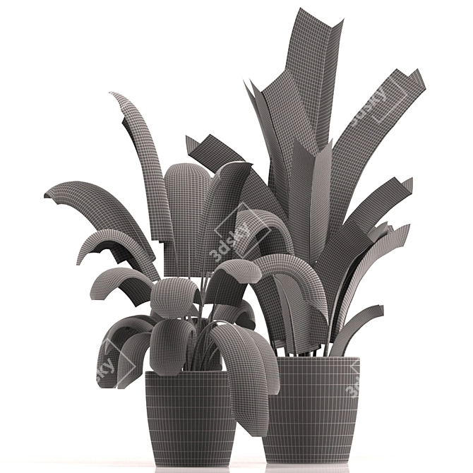 Modern Indoor Plant Set 039 3D model image 4