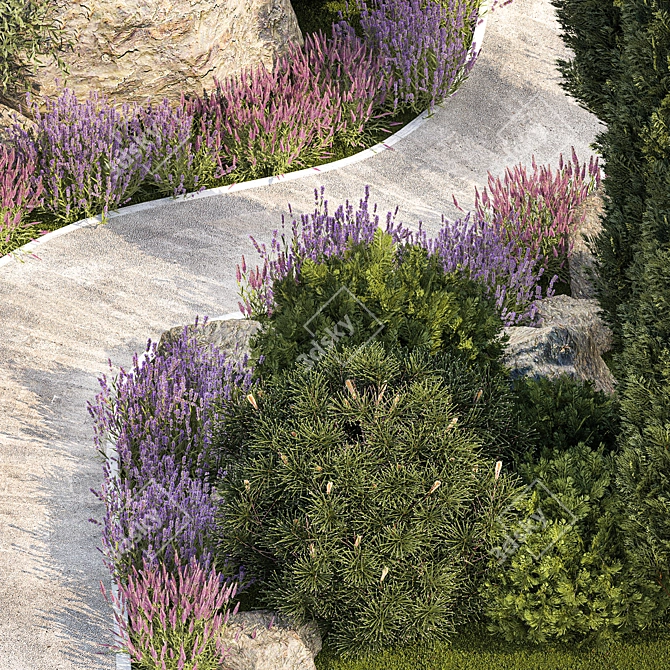 Alpine Garden Collection: Evergreens & Lavender 3D model image 4