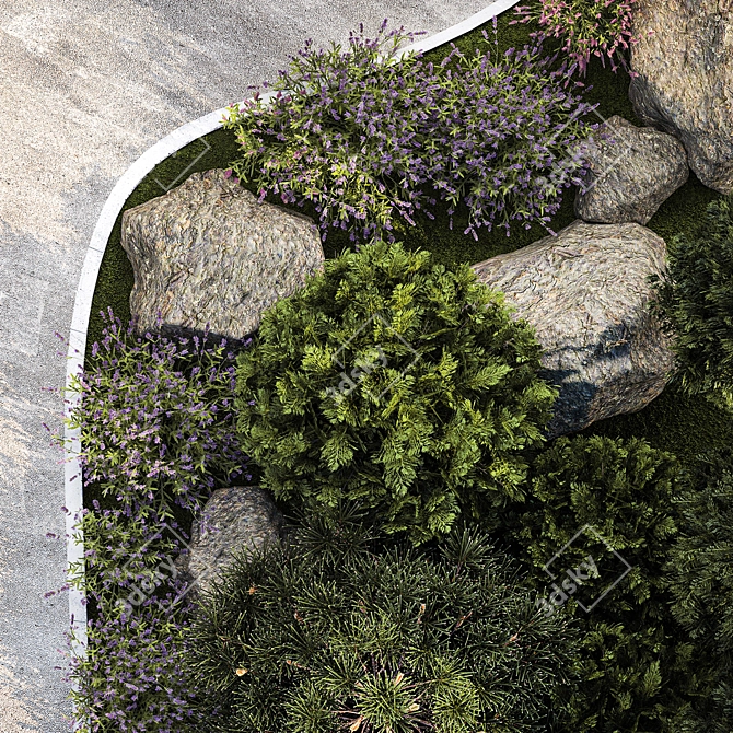 Alpine Garden Collection: Evergreens & Lavender 3D model image 5