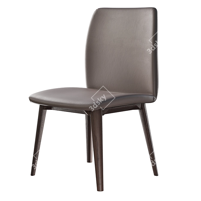 Giellesse Doris Contemporary Kitchen Chair 3D model image 2