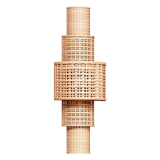 Bamboo Wall Sconce Light, Trepino 3D model image 1