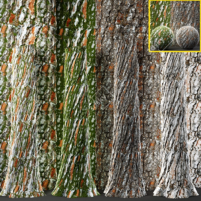 Tree Bark Textures Collection 3D model image 1