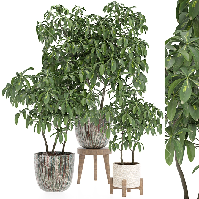 Modern Indoor Plant 3D Model 3D model image 1