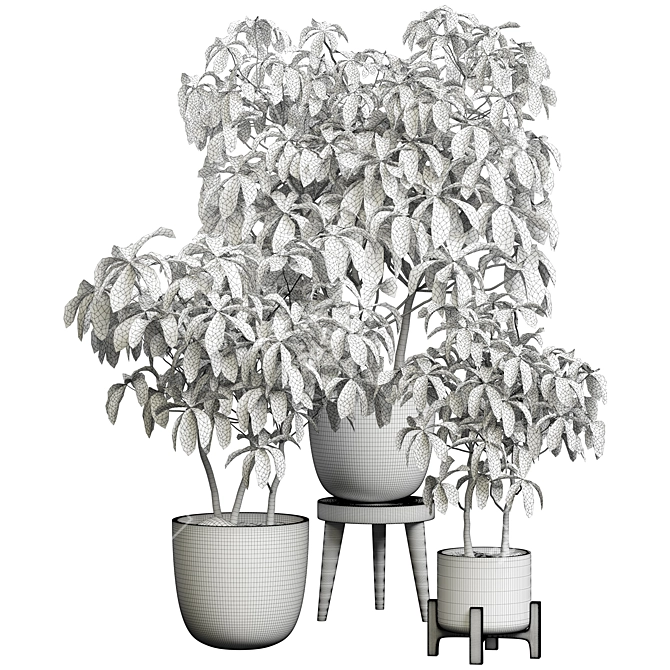 Modern Indoor Plant 3D Model 3D model image 4