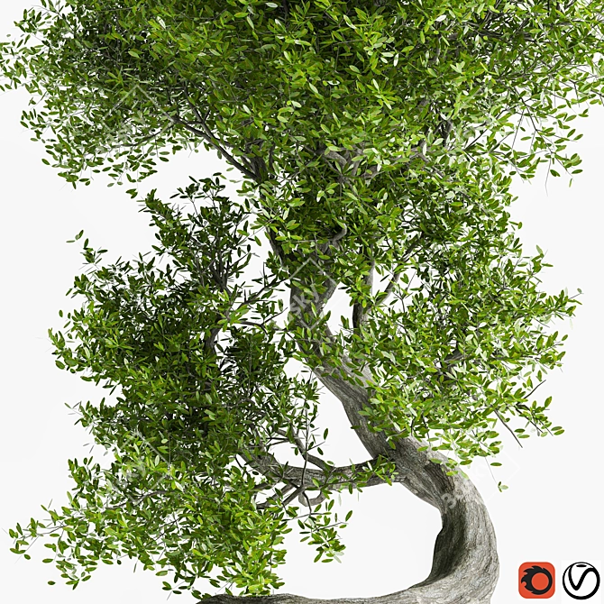 Sculpted Tree Duo, 2016 Design 3D model image 3